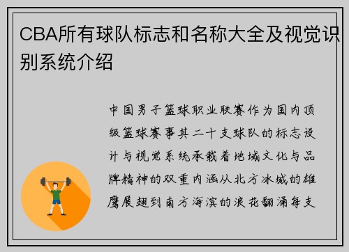 CBA所有球队标志和名称大全及视觉识别系统介绍